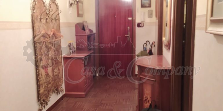 ingresso via scrivia1