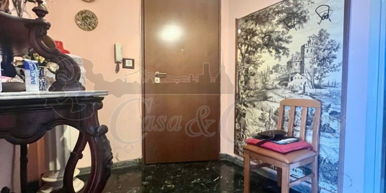 ingresso